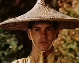 Vixens av kung fu en berättelse av yin yang