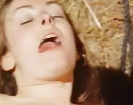 den kåta gården